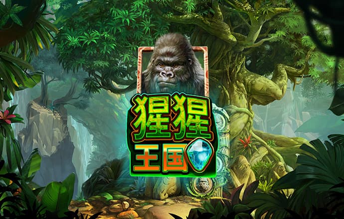 开元ky官方网站